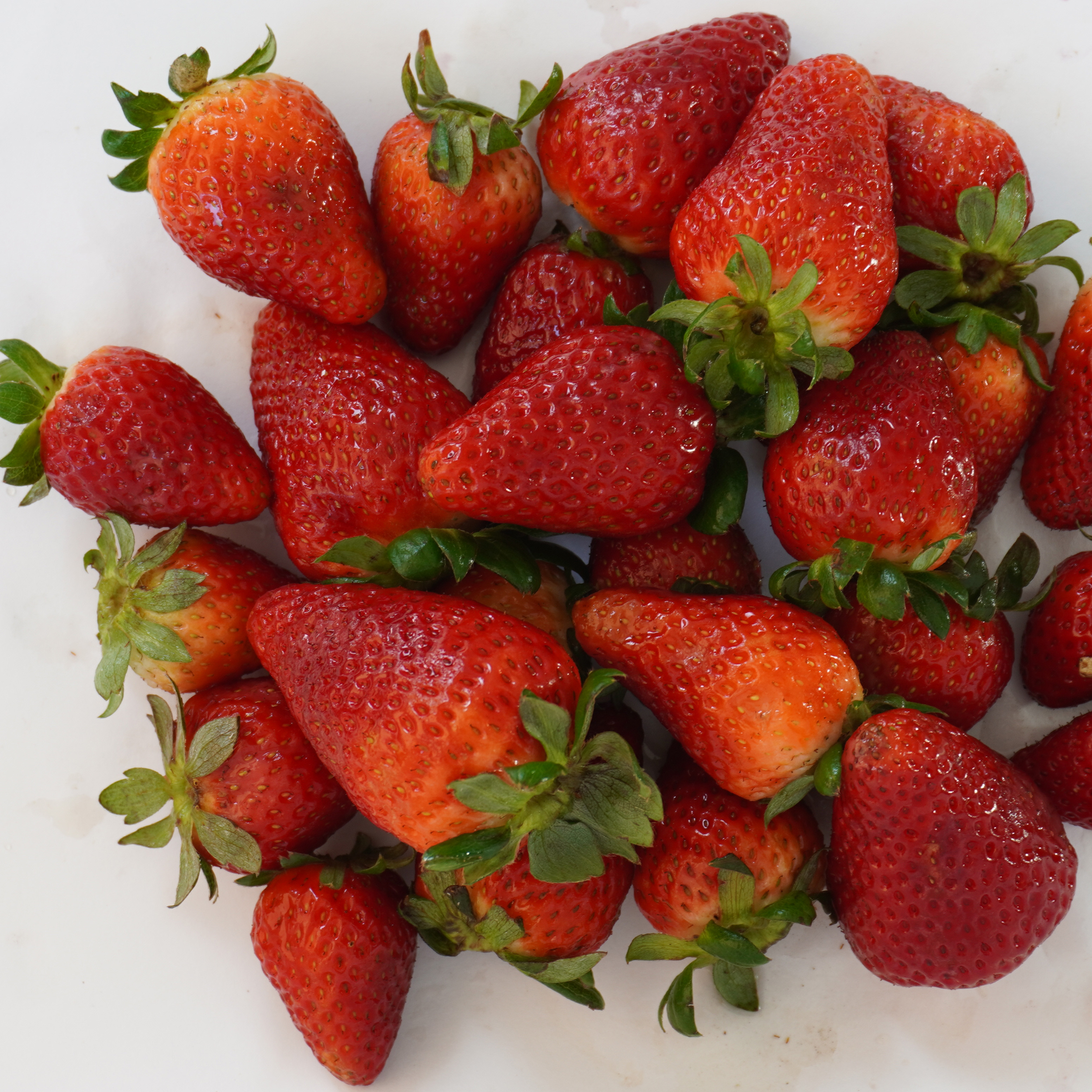 Frutillas (funda)