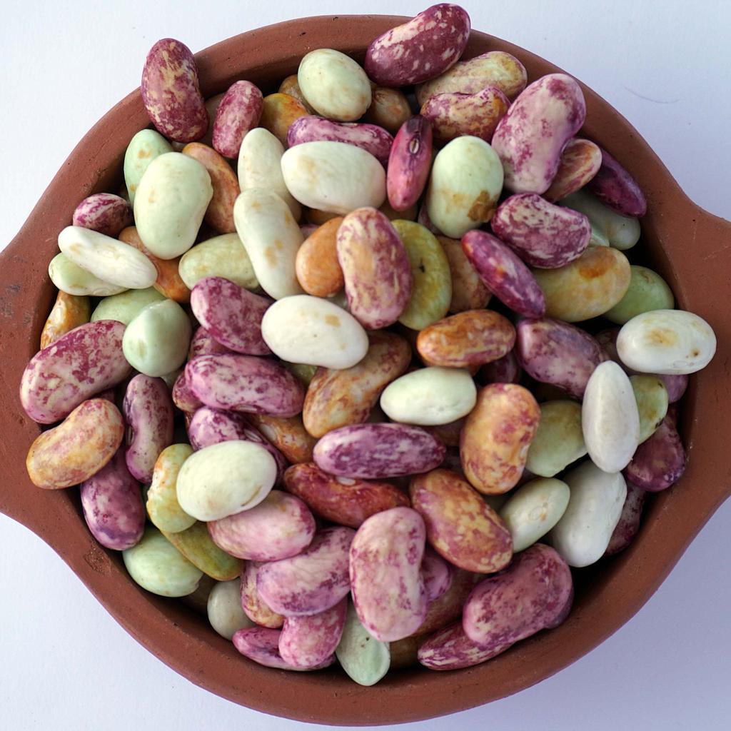 Fréjol tierno