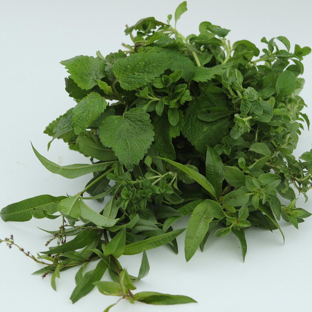 Hierbas medicinales