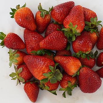 Frutilla (250 g)
